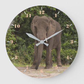 African elephant