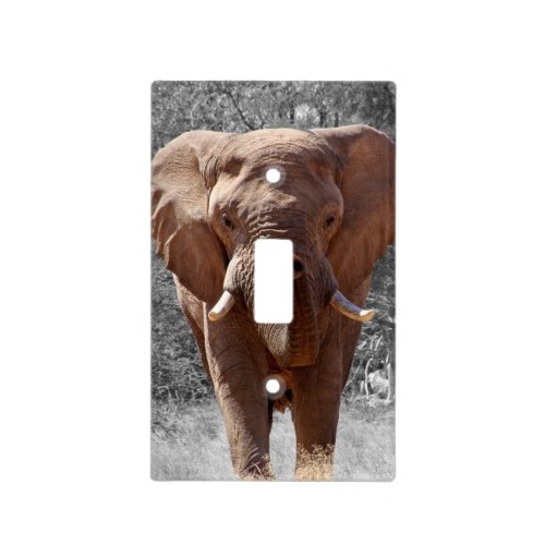 African Elephant Light Switch Cover