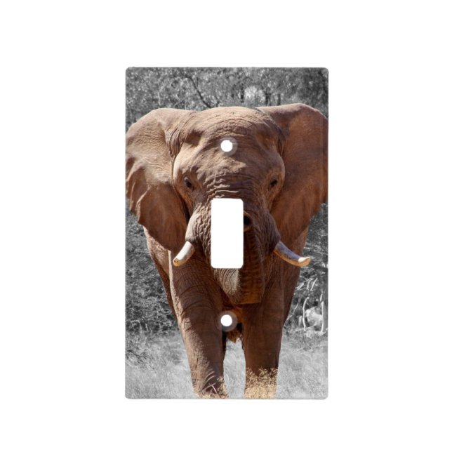 African Elephant Light Switch Cover (Front)
