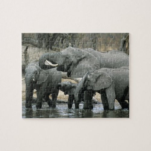 African Elephant Loxodonta africana drinking Jigsaw Puzzle