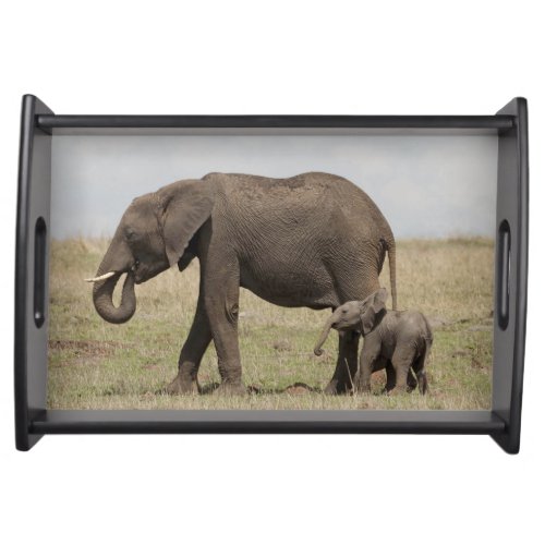 African Elephant mother with baby walking Serving Tray