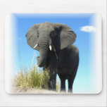 African Elephant Mouse Pad