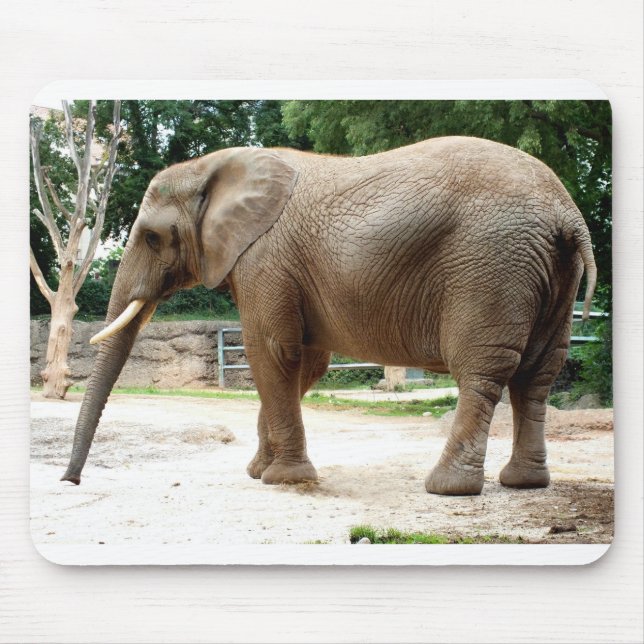 African elephant mouse pad (Front)