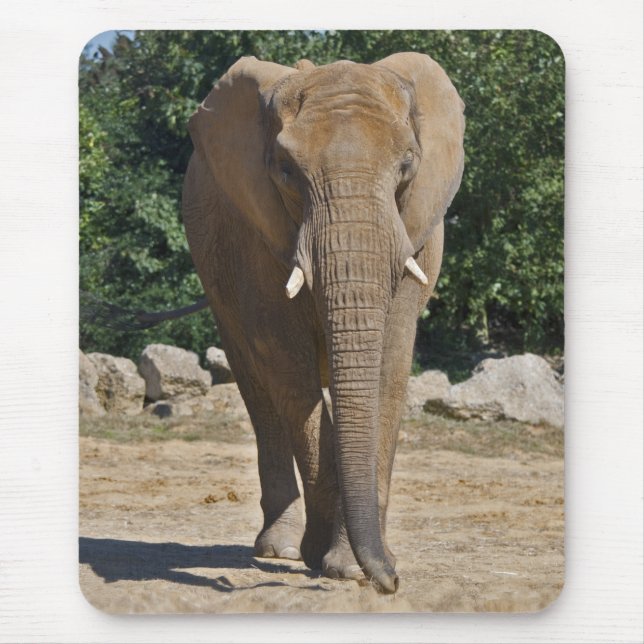 African Elephant Mousemat Mouse Pad (Front)