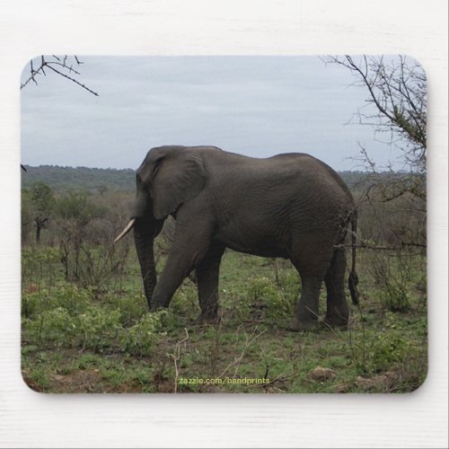 African Elephant Mousepad