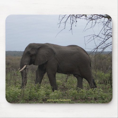 African Elephant Mousepad