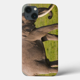 African Elephant, Ngorongoro Conservation Area iPhone 13 Case
