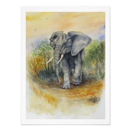 African Elephant Photo Print