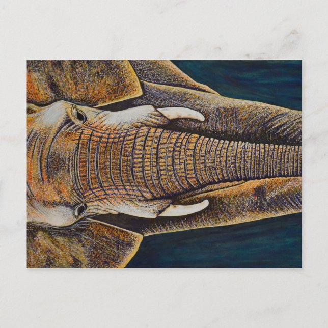 African Elephant Postcard (Front)