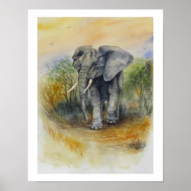 African Elephant Poster (Front)