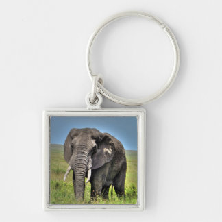 African Elephant & Savannah Grasses Keychain