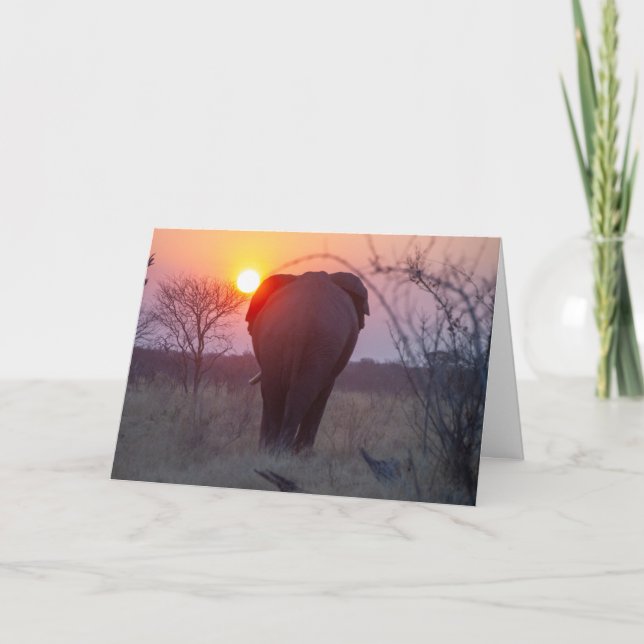 African Elephant Sunset Card (Front)