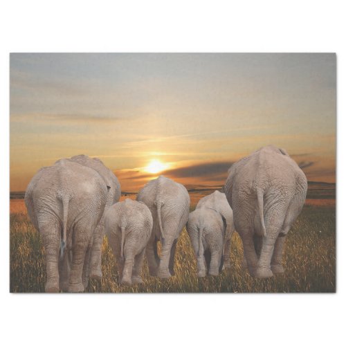 African Elephant Sunset Tissue Paper
