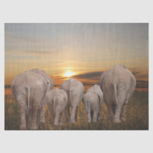 African Elephant Sunset Tissue Paper