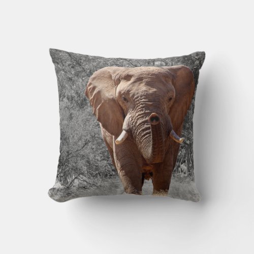 African Elephant Throw Pillow