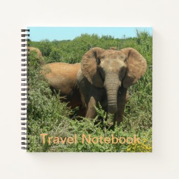 African Elephant Travel Notebook by Edelhertdesigntravel at Zazzle
