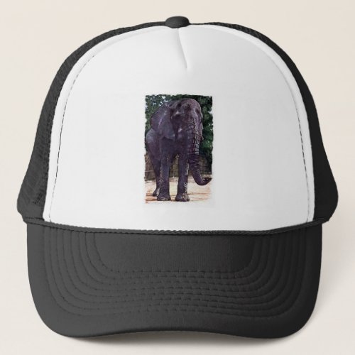 African Elephant Trucker Hat