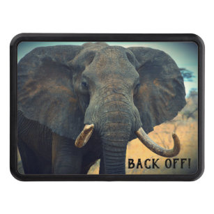 African Elephant Up Close  Hitch Cover