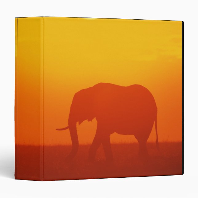 African elephant walking at sunset , Kenya 3 Ring Binder (Front/Spine)