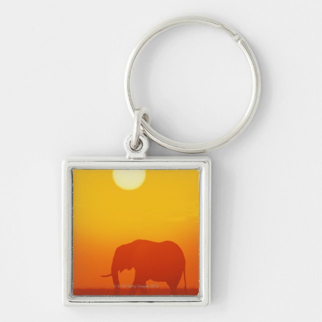 African elephant walking at sunset , Kenya , Keychain (Front)