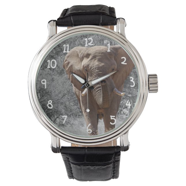 African Elephant Watch (Front)