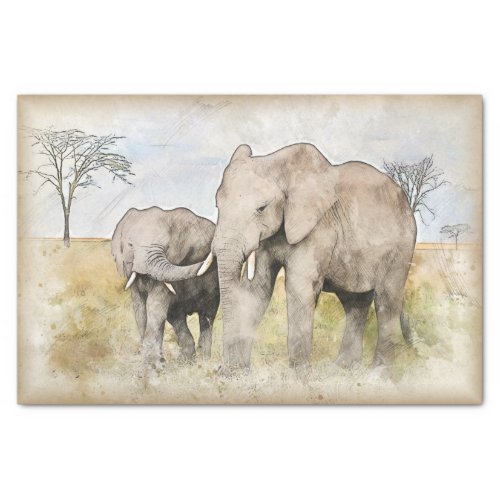 African Elephant Watercolor Tissue Paper