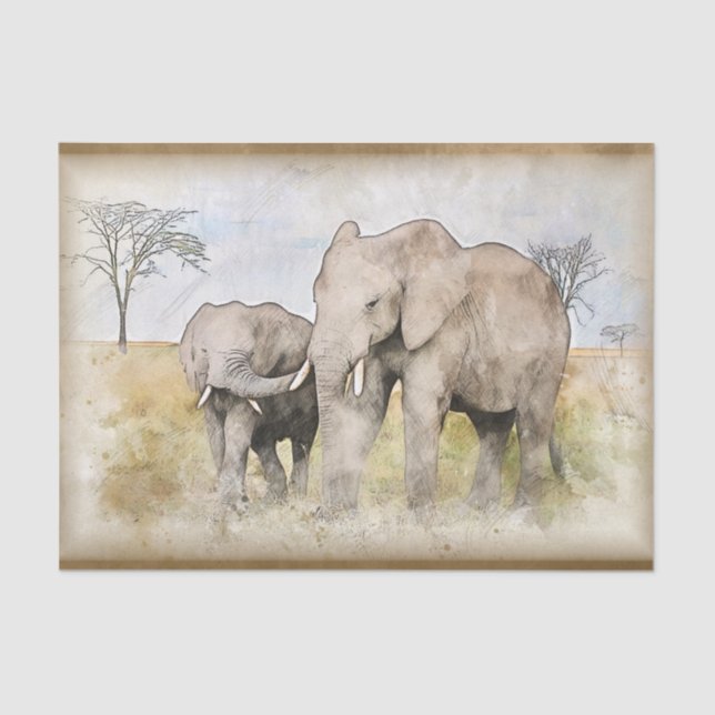 African Elephant Watercolor Tissue Paper (Front)