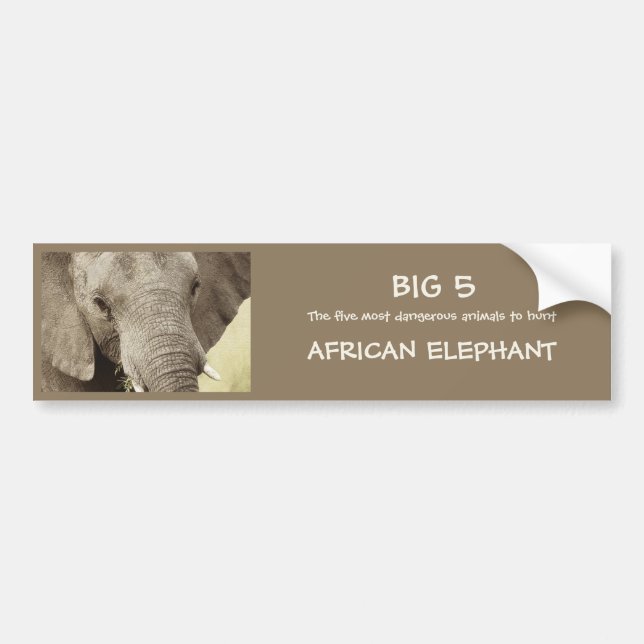 African elephant wildlife safari stickers (Front)