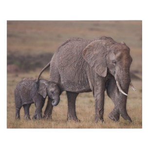 African Elephant with Baby Faux Canvas Print