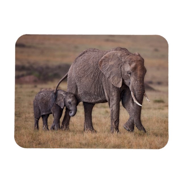 African Elephant with Baby Magnet (Horizontal)
