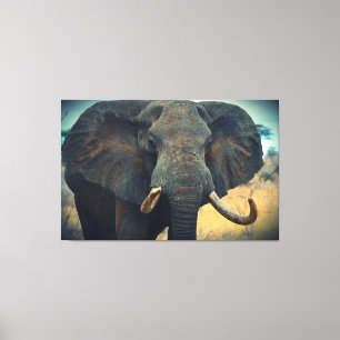 African Elephant Wrapped Canvas Print