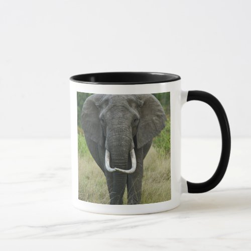 African Elephantna loxodonta Masai Mara Game Mug