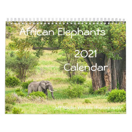 African Elephants 2021 Wall Calendar