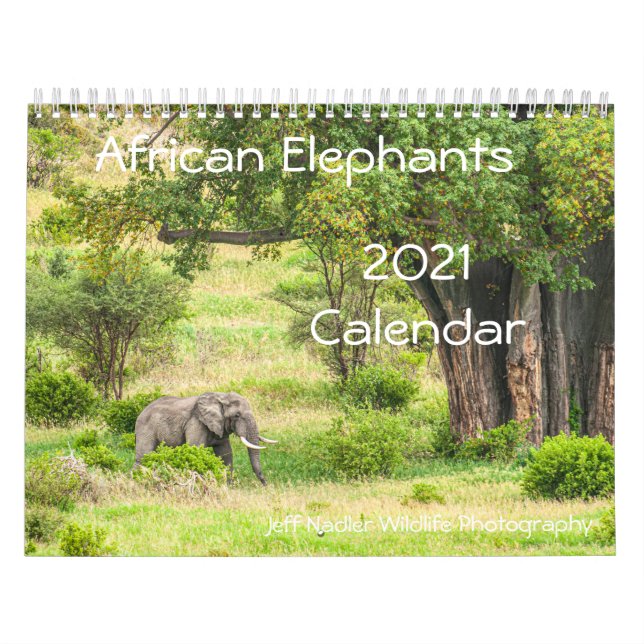 African Elephants 2021 Wall Calendar (Cover)
