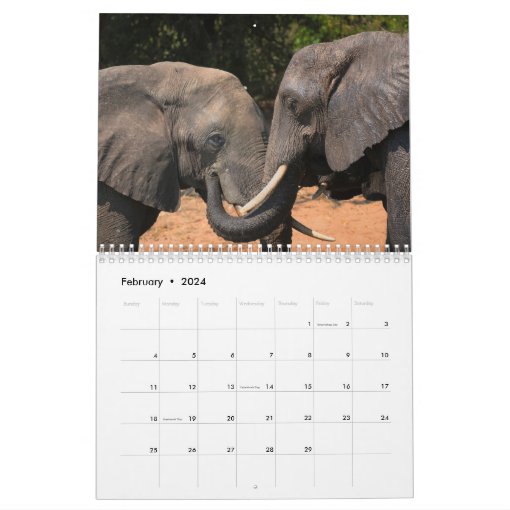 African Elephants 2021 Wall Calendar | Zazzle