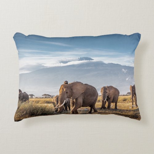 African Elephants Amboseli Walk Accent Pillow