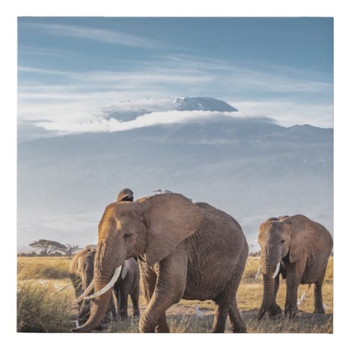 African Elephants Amboseli Walk Faux Canvas Print