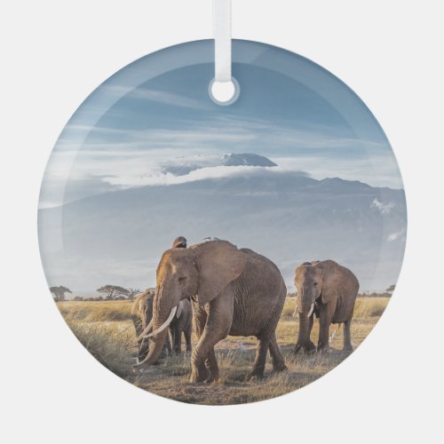 African Elephants Amboseli Walk Glass Ornament