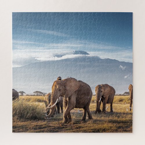 African Elephants Amboseli Walk Jigsaw Puzzle