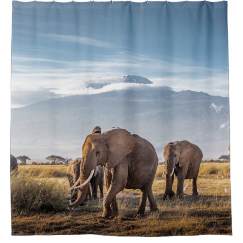 African Elephants Amboseli Walk Shower Curtain