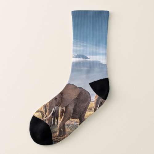 African Elephants Amboseli Walk Socks