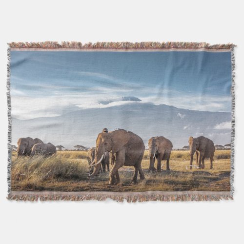 African Elephants Amboseli Walk Throw Blanket