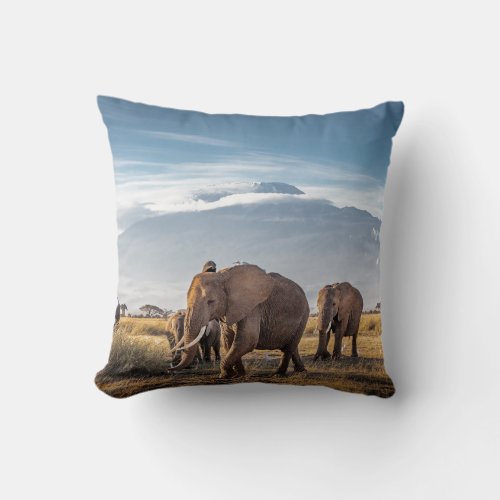 African Elephants Amboseli Walk Throw Pillow
