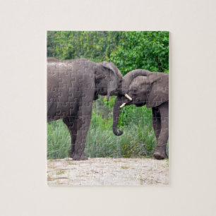 African Elephants Interacting Jigsaw Puzzle