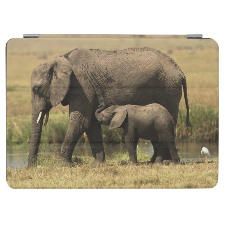 African Elephants Ipad Air Cover