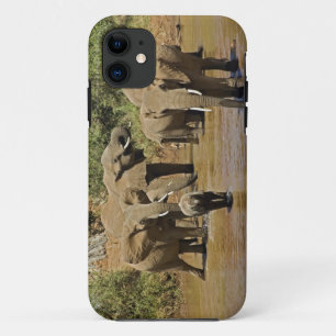 African Elephants, Loxodonta Africana, Samburu iPhone 11 Case