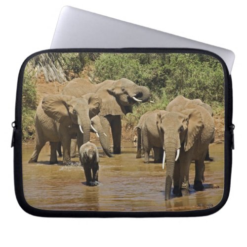 African Elephants Loxodonta Africana Samburu Laptop Sleeve