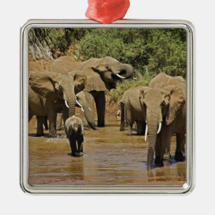 African Elephants, Loxodonta Africana, Samburu Metal Ornament