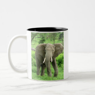 African Elephants Mug