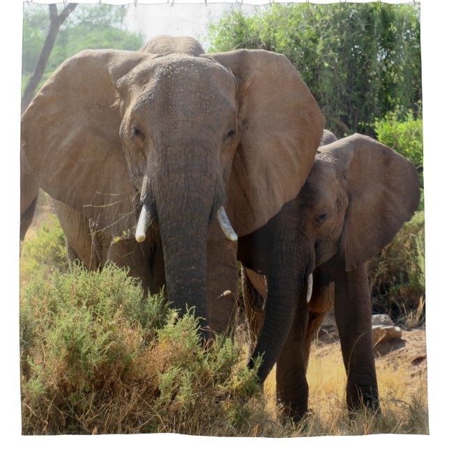 African Elephants shower curtain (Front)